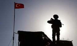 Yunanistan'a geçmeye çalışan dokuz kişi yakalandı