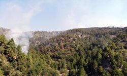 Bolu'da orman yangını 4'üncü gününde