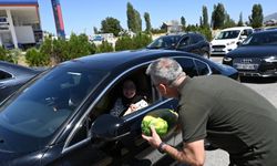 Çiftçilerin tarlada kalan karpuzları, yoldan geçenlere  dağıtıldı