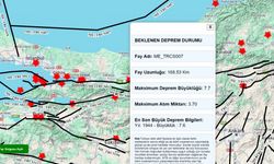 Deprem Bilgi Sistemi uygulamasına fay hatları da eklendi