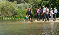 Hatay’da göle 513 bin sazan balığı bırakıldı