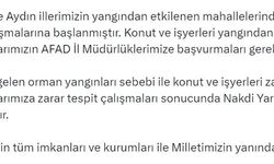 İzmir ve Aydın'daki yangında zarar görenlere nakdi yardım yapılacak