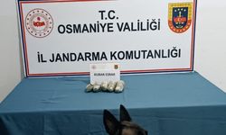 Jandarmanın operasyonunda tarihi eser ve uyuşturucu madde ele geçirildi