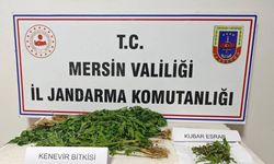 Mersin’de uyuşturucu tacirlerine operasyon