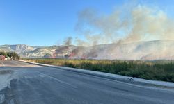 Silifke'de otluk alanda çıkan yangın söndürüldü