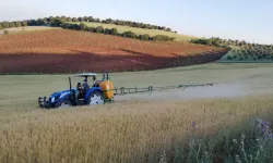 TMO'dan hububat alım ödemelerine devam