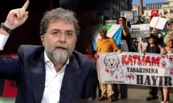 Ahmet Hakan, köpek katliamları için hayvanseverleri suçladı!