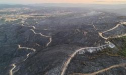 Çanakkale'deki orman yangını 2. gününde: Anzak Mezarlığı da zarar gördü!