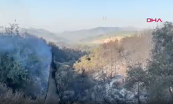 Milas'taki yangın ikinci gününde devam ediyor