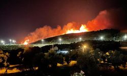 İzmir’deki orman yangınlarında 6 tutuklama