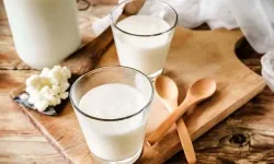 Kefir nedir, faydaları nelerdir?