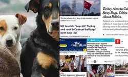 Katliam yasası İngiliz medyasında: 'Türkiye’ye gitmeyin'