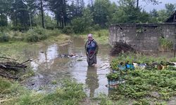 Manisa'da yağış nedeniyle taşan dereler, kurumaya bırakılan üzümlere zarar verdi