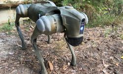 Bilim kurgu filmleri gerçek oluyor! Savaşta robot köpekler kullanılacak