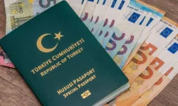 Yeşil Pasaport Nedir, Normal Pasaporttan Farkı Nedir? Yeşil Pasaportu Kimler Alabilir?