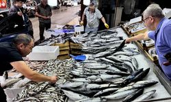 Balık tezgahlarında palamut, hamsi ve çinekop bolluğu yaşanıyor