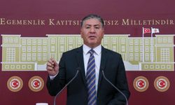 CHP'li Emir: Narin Güran cinayeti için Meclis'te araştırma komisyonu kurulsun