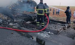 Mardin’de armut yüklü TIR, alev alarak yandı