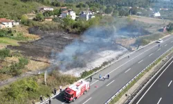 Anız yangınında fındık arazisi zarar gördü