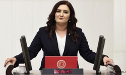 CHP İzmir Milletvekili Sevda Erdan Kılıç: Eğitimde yeni düzenlemelere ihtiyaç var