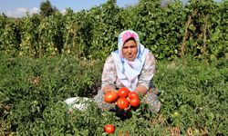 Yamanlar yılın en renkli şenliğine hazır!