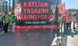 İzmir'de Hayvan Hakları Savunucuları 'Katliam Yasası'na karşı tek ses oldu!