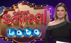 Çılgın Sayısal Loto 1 Şubat sonuçları açıklandı! İşte kazanan numaralar ve sorgulama yöntemleri