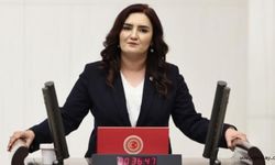 CHP İzmir Milletvekili Sevda Erdan Kılıç: 'Serdar Akalın 85 gündür kayıp, bakanlık sessiz'