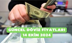 Dolarda dalgalı seyir sürüyor! Güncel döviz fiyatları 14 Ekim 2024