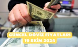 Dolarda yükseliş sürüyor! Güncel döviz fiyatları 19 Ekim 2024