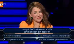 "Ha" Kelimesinin Sözlük Tanımları: Hangisi Doğru Değil?