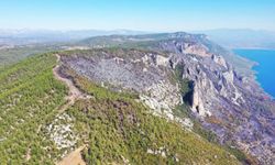 Muğla'da 849 hektar kül oldu!