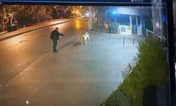 Köpeği silahla korkutmaya çalıştı