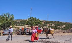 Karaburun'da RES kapasite artışına karşı dava açıldı