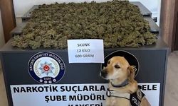 Narkotik köpeği 'Jack', görevinin başında