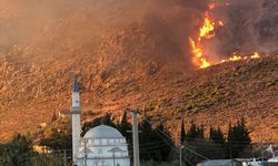 Muğla'da makilik alanda çıkan yangın kontrol altına alındı