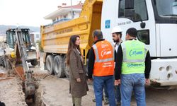 Lal Denizli: 'Doğal gaz için çalışmalarımız hızla devam ediyor'