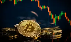 Bitcoin ETF'lerine rekor sermaye girişi!