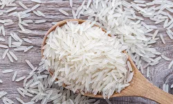 Basmati pirinç ne özelliği var?  Basmati pirinç ile normal pirinç arasındaki fark nedir?