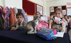 'Karamel' kedi artık sıra arkadaşları: Yürek ısıtan görüntüler