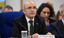 Mehmet Şimşek: Dezenflasyon süreci beklentileri olumlu etkiliyor