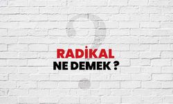 Radikal ne demek? Radikal nedir?