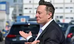 Almanya'dan Musk'a 'AfD' eleştirisi