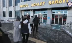 Bingöl'de terör operasyonunda 1 tutuklama