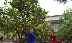 Mezun oldukları okul, iş kapıları oldu