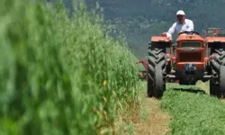 "Çiftçinin borcu 800 milyarı aştı"