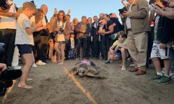 Caretta caretta 'Cumhuriyet'i 2 ayda 2 bin kişi izledi