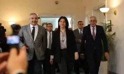 DEM Parti'den İmralı için 'ikinci görüşme' başvurusu yapıldı