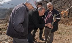 Büyükşehir'den kestane üreticisine 'kanser' eğitimi!