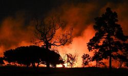 Los Angeles'taki Yangınlar 11 Gündür Devam Ediyor